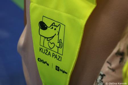 Uspešno šolsko leto kamniškim prvošolcem, učencem in dijakom (36)